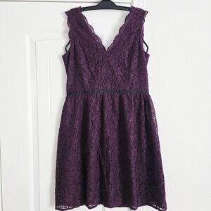 Ann Taylor LOFT Burgandy Scalloped Lace Dress Size 6